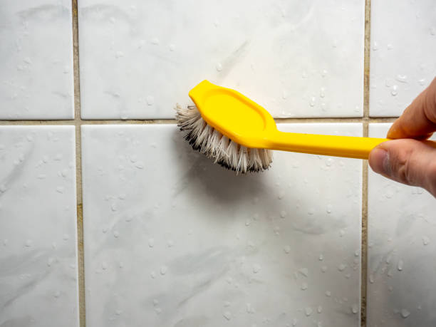 Attic Mold Removal in Minden, LA