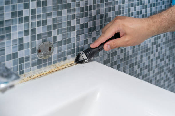 Best Commercial Mold Removal  in Minden, LA
