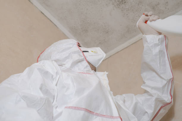 Crawl Space Mold Removal in Minden, LA